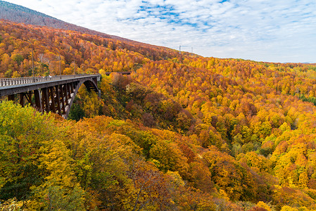 秋景林树林与中村大石桥青森日本东北金色的高清图片素材