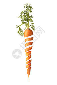 新鲜采摘的天然机多汁水果垂直胡萝卜与绿叶切割白色背景与纯素用绿叶切鲜汁天然胡萝卜根垂直的高清图片素材