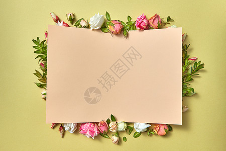 新鲜的天然机花架与纸祝贺卡个浅橄榄背景与情人节贺卡带花框的纸质祝贺卡图片