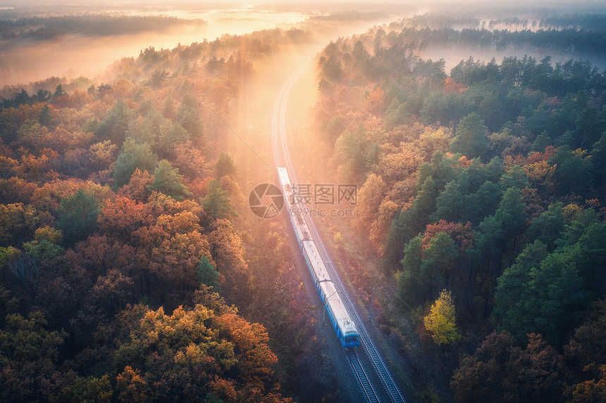 秋天日出时雾丽森林中火车的鸟瞰图秋天的通勤火车五颜六色的景观与铁路,雾树与生机勃勃的树叶,阳光的风景火车图片