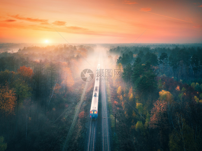 秋天日落时,美丽的森林里乘火车秋季通勤列车的鸟瞰图五颜六色的景观与铁路,雾树,橙色的叶子,红色的天空薄雾的风图片