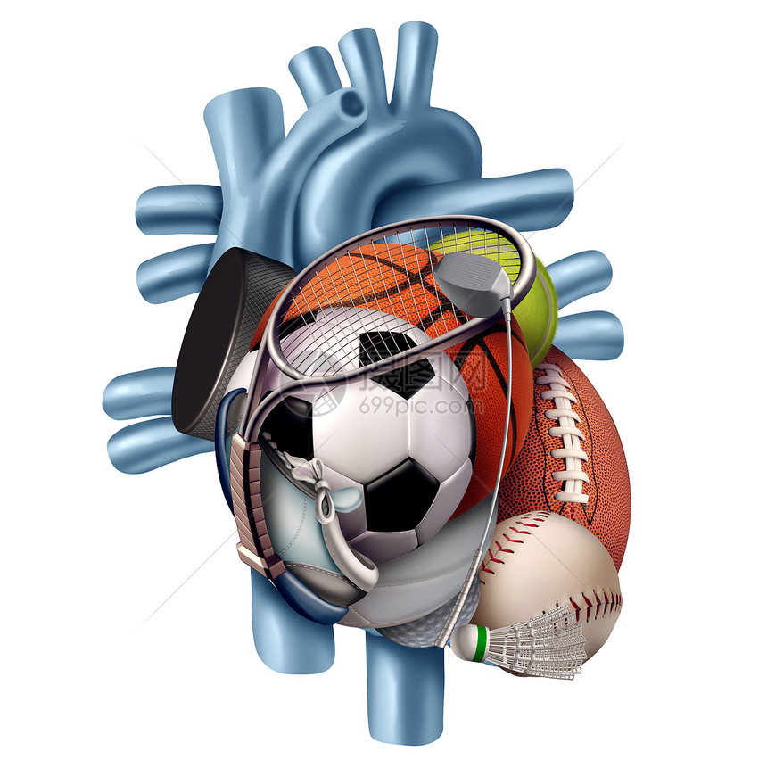运动健康的心脏人体器官,用运动运动设备种积极的生活方式的象征,隔离白色背景上,种三维插图元素的医疗健康健图片
