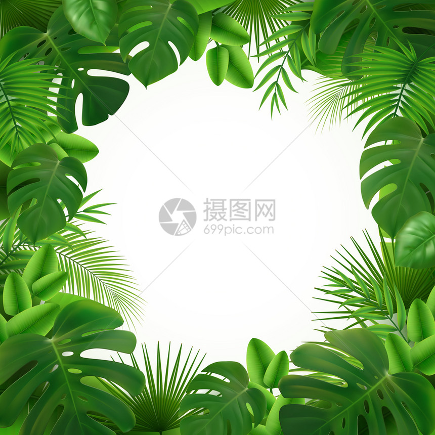 热带叶棕榈枝真实透明的框架成与空圆包围绿叶矢量插图图片
