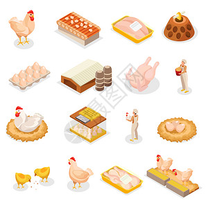 家禽图标鸡场了16个等距图标的家禽产品图像的动物工人矢量插图插画