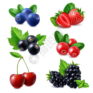 葡萄干促销浆果逼真的套草莓蓝莓,草莓,黑莓,醋栗,樱桃分离矢量插图插画