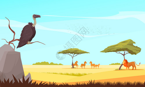 狩猎旅行野生动物平构图与格里芬狮子观看放牧相思树的Antilopes矢量插图背景图片