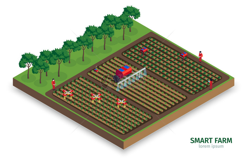 等距智能农场成与户外视野的种植园与树木人自动无人机拖拉机矢量插图图片