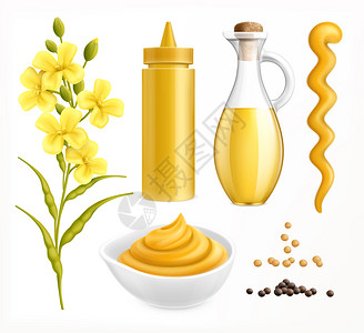 油菜种子芥末现实与彩色图像包装与种子花卉植物空白背景矢量插图插画