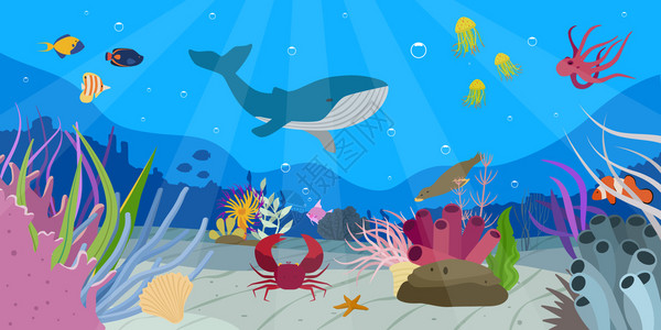 美丽的水下世界场景与鲸鱼同的鱼蟹海星章鱼密封平矢量插图图片