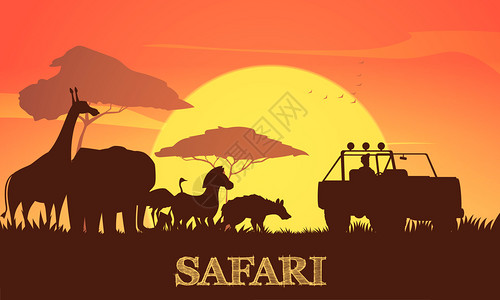 美丽的非洲日落狩猎背景海报与长颈鹿大象斑马相思树吉普车轮廓矢量插图背景图片