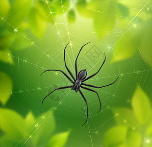 蜘蛛网上真实的构图与模糊的自然背景与树叶蜘蛛网与悬挂昆虫矢量插图图片