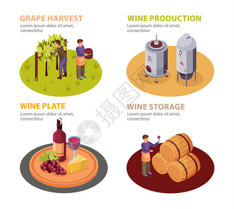 葡萄酒生产图标葡萄酒板存储符号等距隔离矢量插图图片