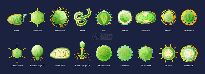 人类病艾滋病埃博拉流感肝炎绿色教育图表与名称黑色背景矢量插图图片