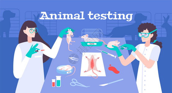香水商店海报与国际品牌符号平矢量插图动物测试实验室背景图片