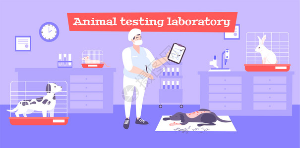 动物测试实验室背景与实验符号平矢量插图动物测试实验室背景图片