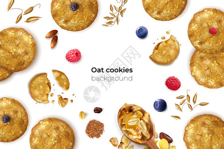 坚果餐逼真的燕麦饼干框架背景与可编辑的文本图片种子饼干浆果矢量插图插画