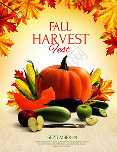 秋天收获五颜六色的构图,套蔬菜水果秋叶的写实矢量插图秋收写实作文图片