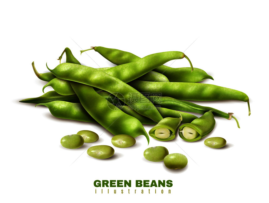 新鲜绿色机豆类切割整个豆荚现实图像健康食品广告矢量插图绿豆逼真的形象图片
