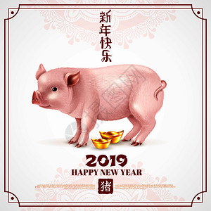 中国日历封与现实的粉红色猪祝新快乐2019矢量插图粉红色小猪写实海报图片