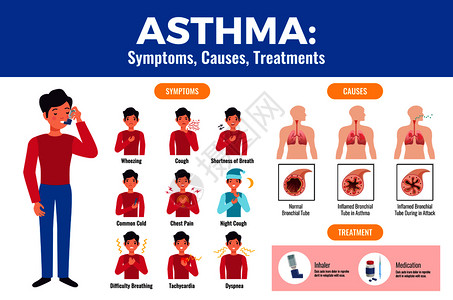 哮喘症状导致治疗扁平的医疗海报与病人持吸入器发炎的支气管矢量插图背景图片