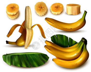 真实的香蕉集与各种分离的图像新鲜香蕉水果与皮肤叶子切片矢量插图图片