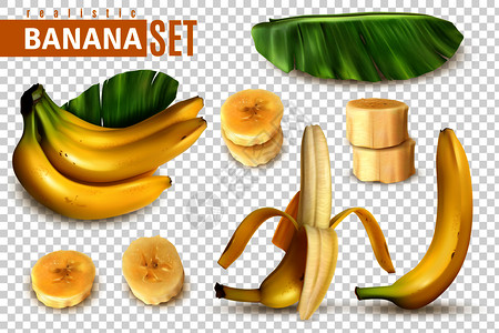 真实的香蕉透明与分离的图像棕榈叶香蕉水果切片矢量插图图片
