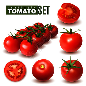 真实的番茄图像与单个番茄果实与阴影文本矢量插图背景图片