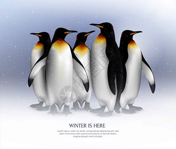 王企鹅群体雪中的环境构成现实背景海报,为伟大的寒假思想矢量插图图片