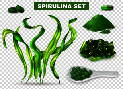 藨藻螺旋藻逼真海藻补充胶囊,绿色粉末切碎干藻透明背景矢量插图插画
