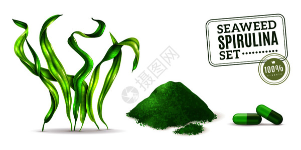 螺旋藻补充海藻藻类植物干粉胶囊的日常摄入现实矢量插图背景图片