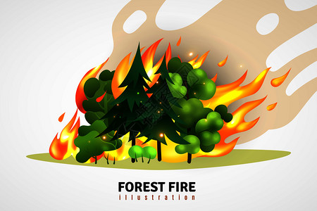 自然灾害卡通说明了绿色针叶树落叶树森林中肆虐的火灾矢量插图背景图片