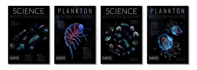 套四张以浮游生物品种为的海报,杂志文章的模板,小册子,封矢量插图图片