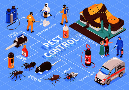 异构体虫害控制家庭办公室消服务异构流程图与专业队设备汽车昆虫大鼠矢量插图插画