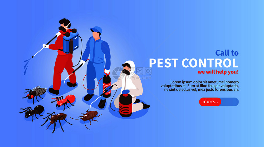 害虫防治室卫生消服务等距网站横幅与专业队消灭昆虫背景矢量插图图片