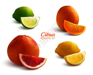 柠檬冰沙柑橘逼真的莱姆橙柠檬葡萄柚全果切片分离矢量插图插画