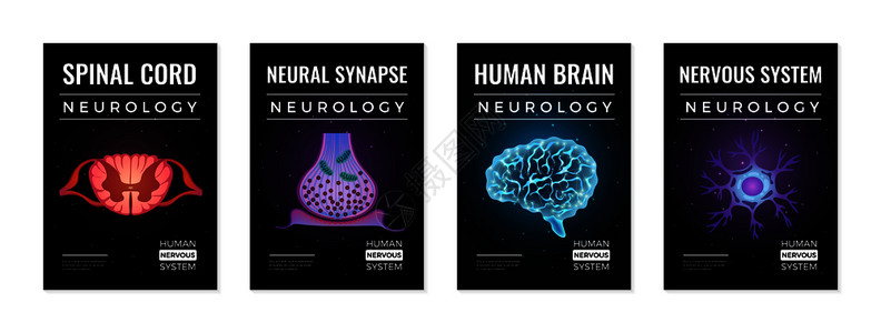 功能布局神经学横幅收集四个垂直成与可编辑的文本发光霓虹灯分子脑图像矢量插图插画
