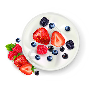 蓝莓酸奶快浆果水果酸奶现实的成与酸奶的顶部视图可以与成熟浆果阴影矢量插图插画