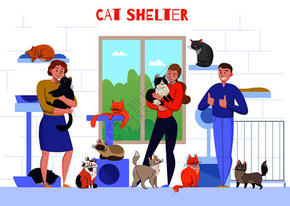 人抱猫动物收容所猫成与室内的人的观点,人物抱着猫怀里与文本矢量插图插画