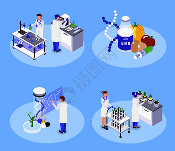 食品科学与工程4个染色体高清图片