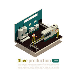 橄榄油生产设施等距成与瓶子灌装机自动线与传送带矢量插图图片