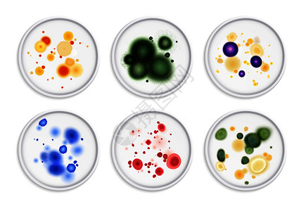 霉菌细菌菌落斑点真实与圆形图像的同霉菌生命形式彩色矢量插图图片