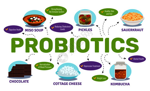 益生菌健康与食品细菌符号平矢量插图背景图片