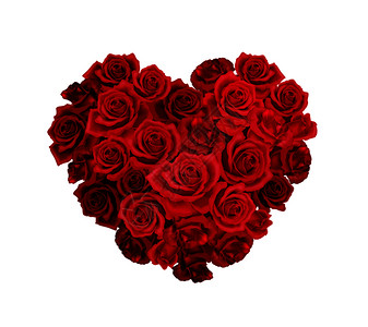 心形的红色玫瑰现实构图白色背景矢量插图上图片