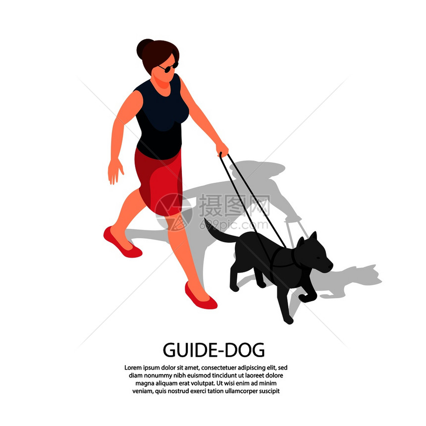 盲人妇女戴着太阳镜走路,带着经过专门训练的导盲犬,隔离等距构图,刻字矢量插图图片