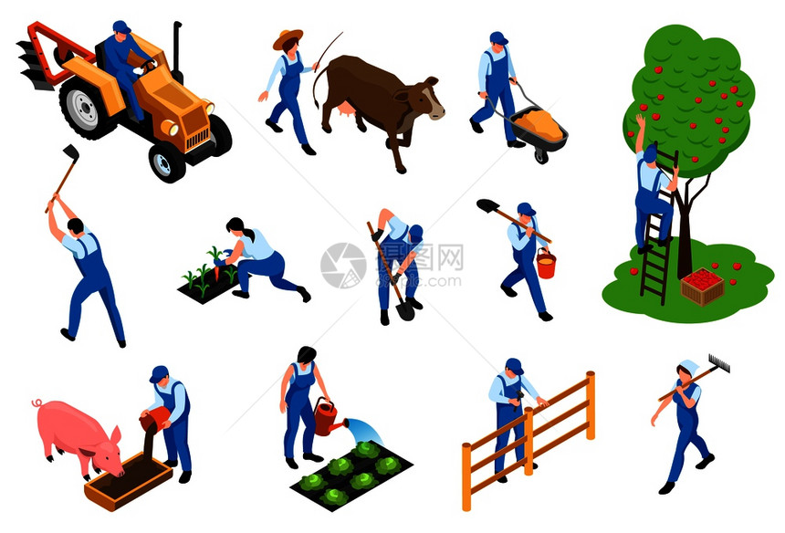 农民职责等距图标与奶牛牲畜饲养猪收获果园种植幼苗矢量插图图片