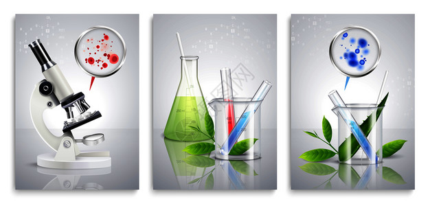 套三个霉菌菌卡与真实的菌落斑点图像的化学实验室设备矢量插图背景图片