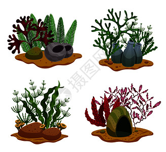 海藻4平水下彩色装饰元素同藻类类型的石头照明孤立矢量插图图片