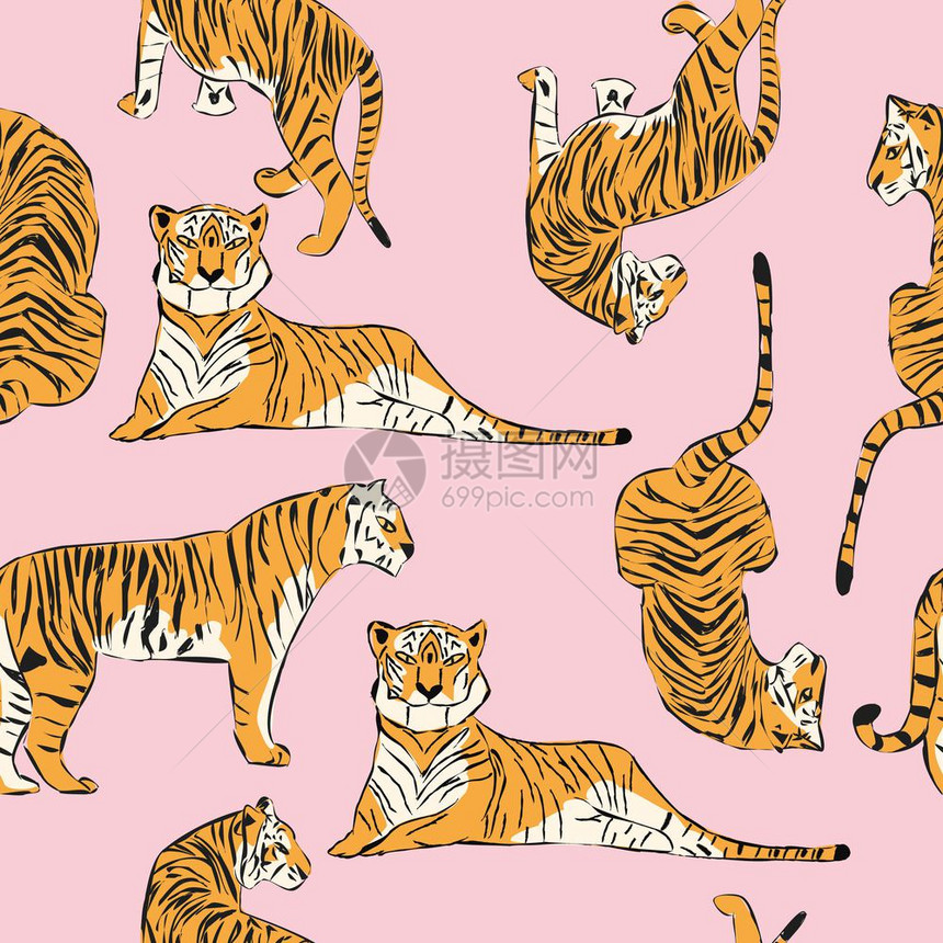 手绘老虎无缝图案,大猫同的位置,橙色老虎粉红色,异国情调的背景,平矢量插图图片