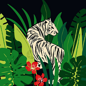 孟加拉白虎手绘白虎与异国热带树叶,平矢量插图插画