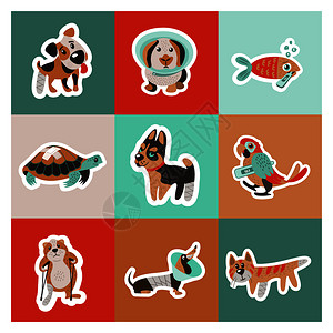 兽医护理照顾动物套可爱的生病的动物兽医护理矢量插图,可爱的生病动物图片